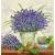 Serwetka decoupage firmy AMBIENTE lawenda w wazonie 25x25cm